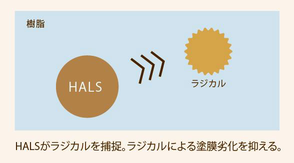 光安定剤（HALS）